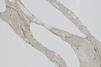 CALACATTA ARGENTO GOLD - SSD QUARTZ 3CM LOT 3P287130 127X64 